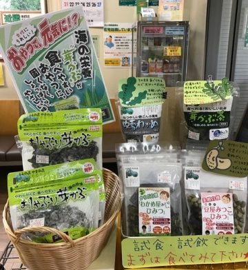 ヒルズ店からのお知らせ