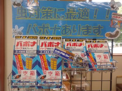 ヒルズ店からのお知らせ
